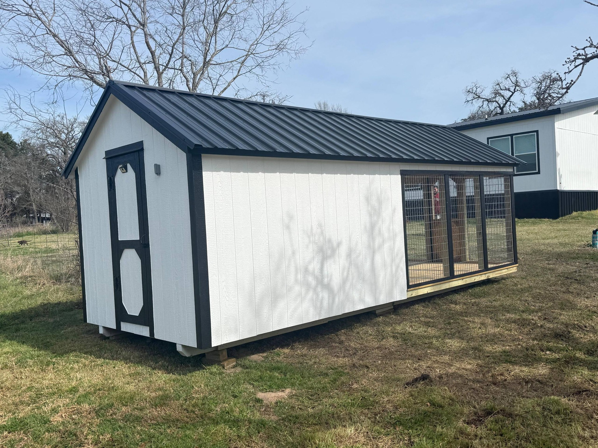 Modern chicken coop